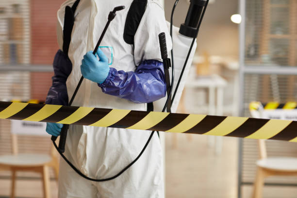 Professional Odor Removal technician working in Bedford, TX